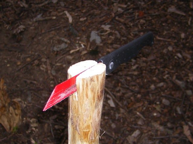 ecohawk022.jpg