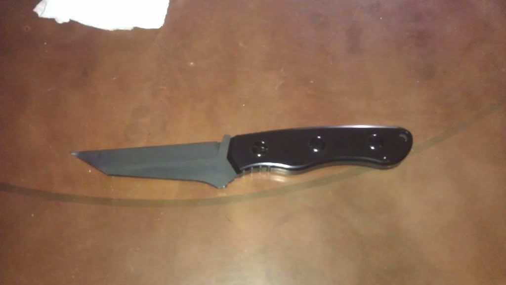IMAG0304.jpg