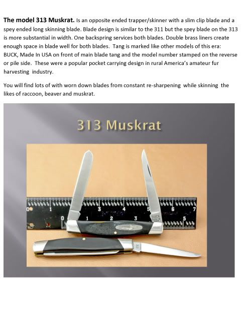 More-Buck-300-Information4.jpg