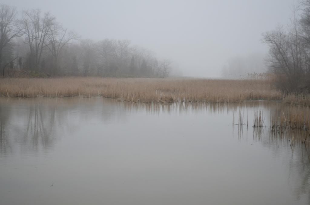 KGD_0192.jpg