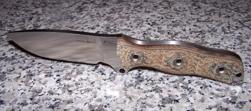 batacle5.jpg