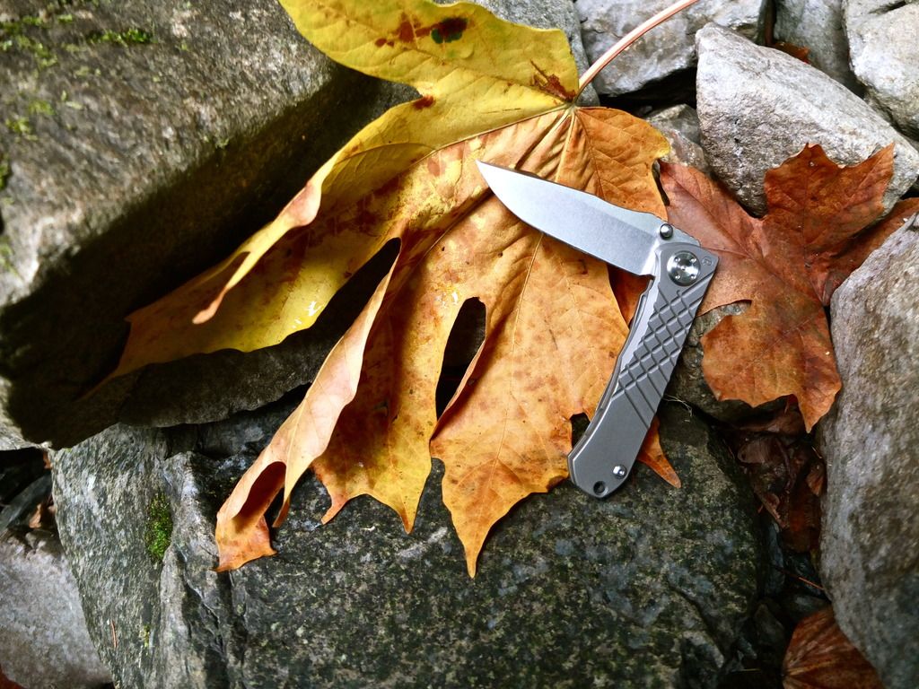 DSCF9329_zpszfhrnwix.jpg