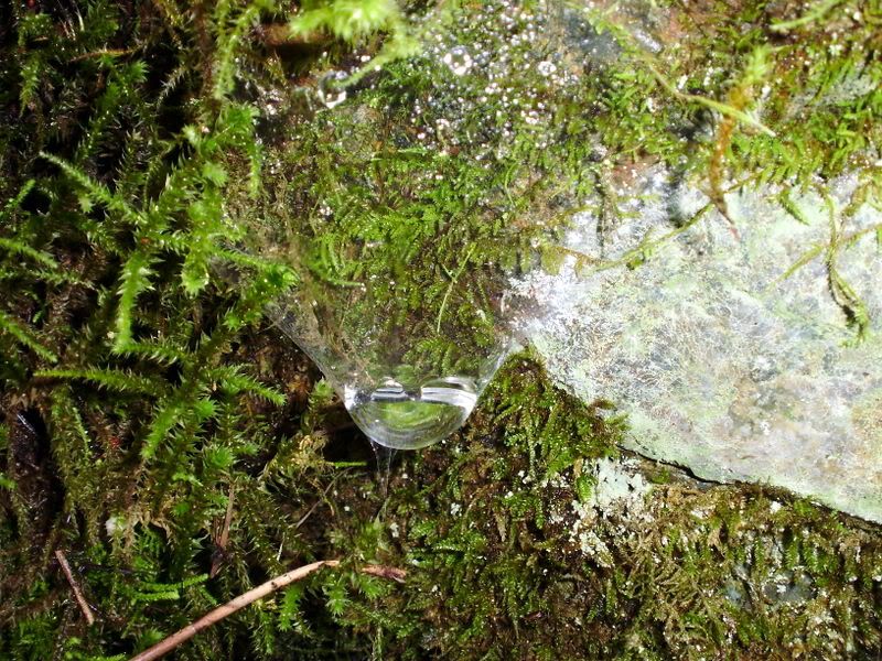 P1250010-1.jpg