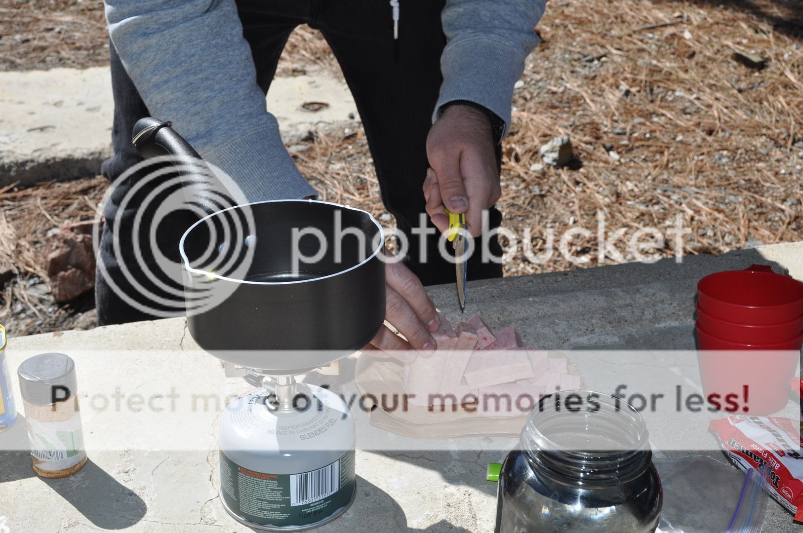 DSC_8841_zps94f93617.jpg