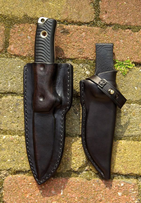 HCsheaths01.jpg