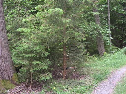 DSCN2216.jpg