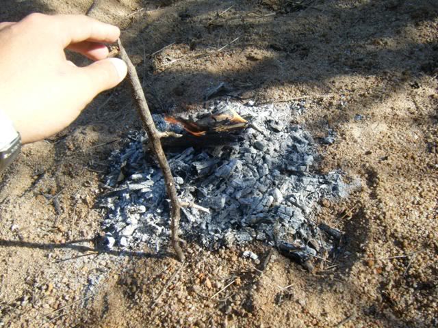 DSCF2095.jpg