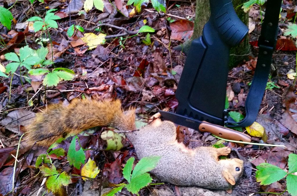 20161001_120303_zps2lyoszde.jpg