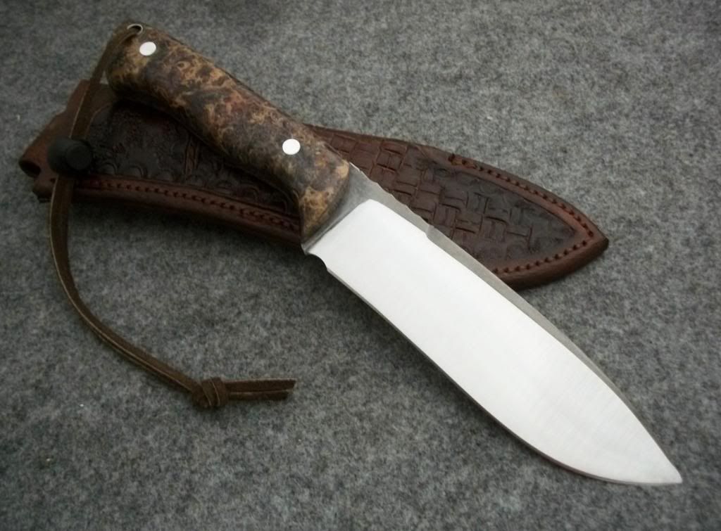 bechop011.jpg