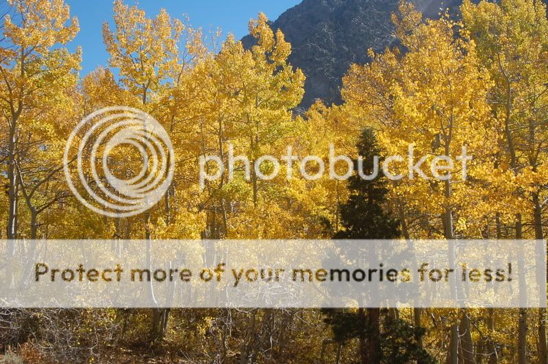 10-06HighSierra248.jpg