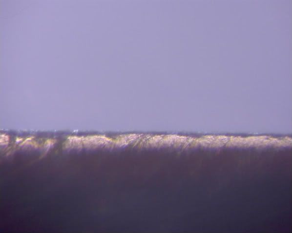 PIC021.jpg
