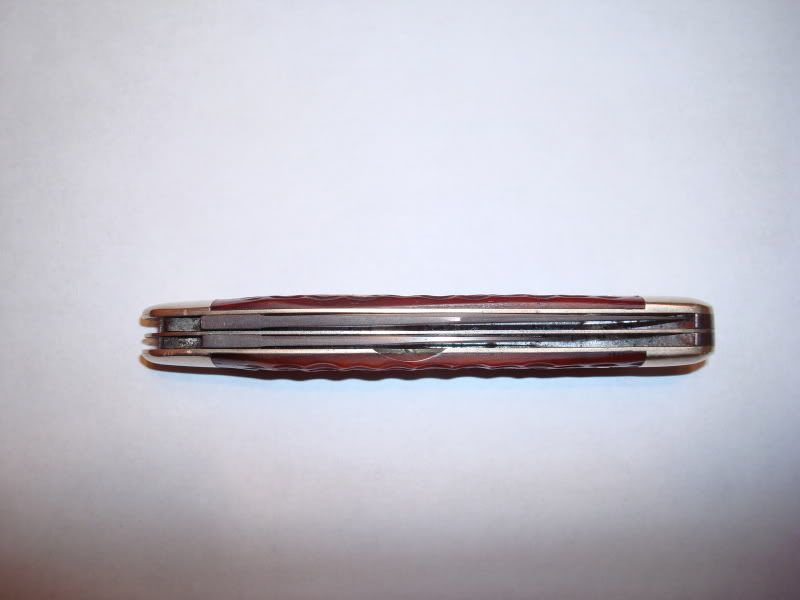 DSC00645.jpg