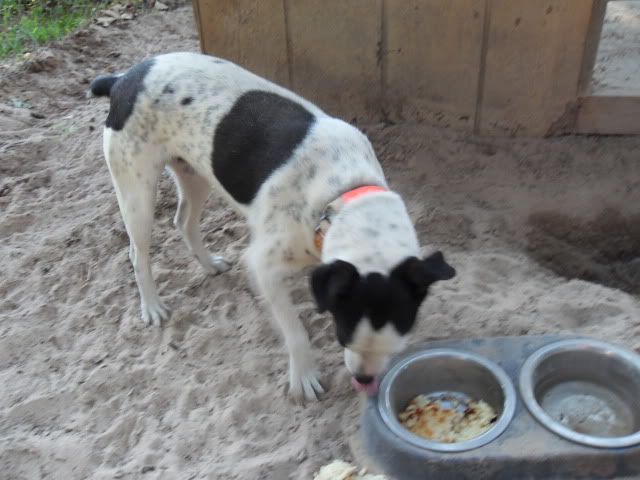 SDC10722.jpg