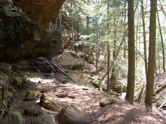 100_3025-1.jpg