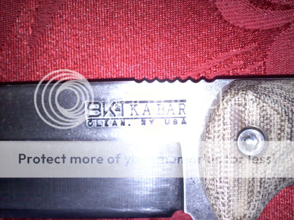 20101205185518.jpg