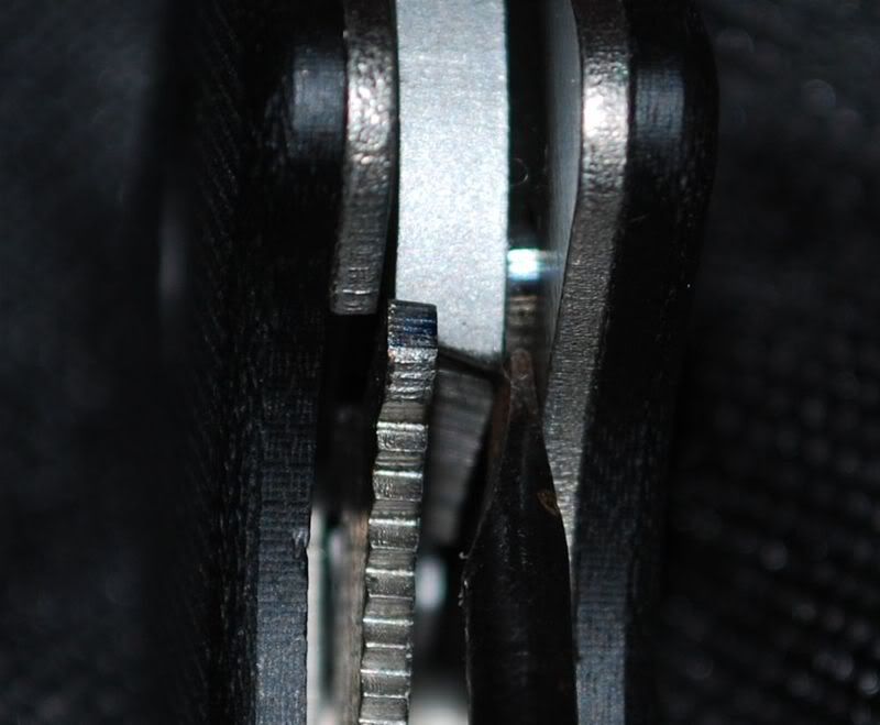 DSC_0014CC.jpg