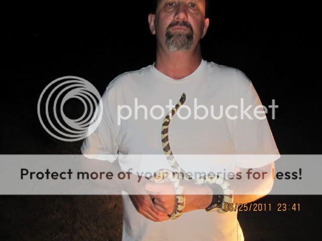 IMG_2651.jpg