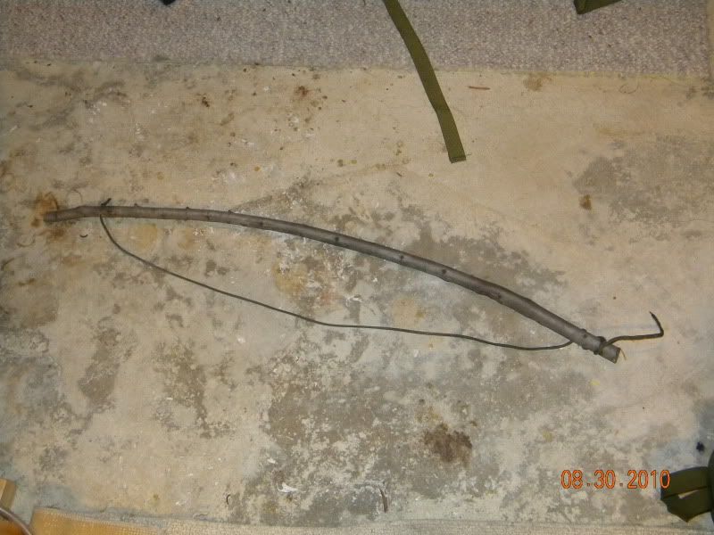 DSCN2805.jpg