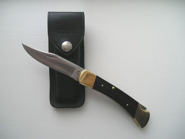 Buck1102ndVersionEarly.jpg