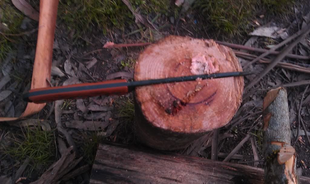 IMAG0170.jpg