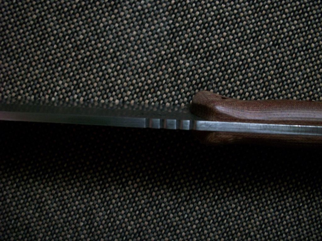 100_2012.jpg