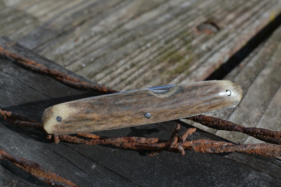 DSC_5370.JPG