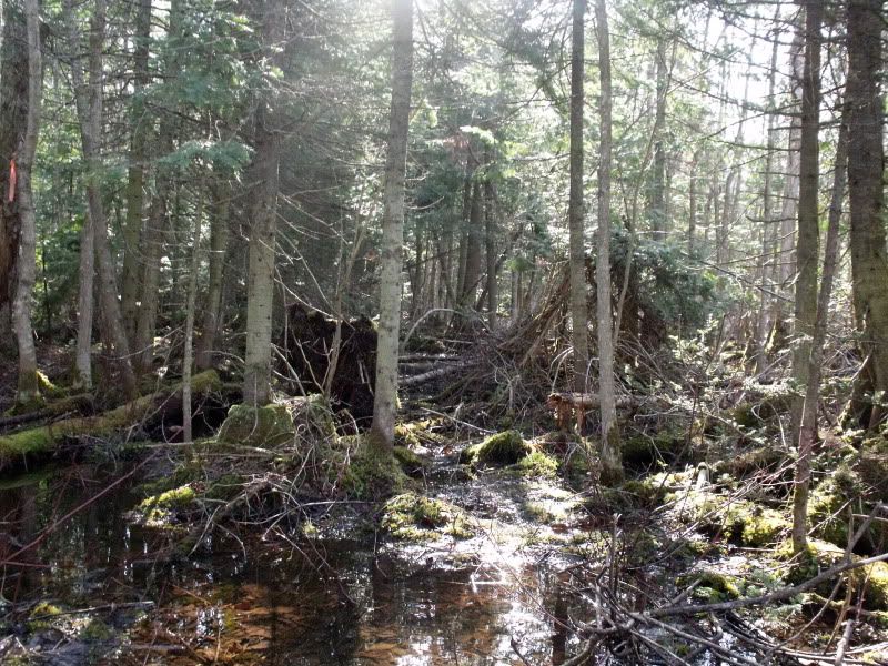 DSCF2282.jpg