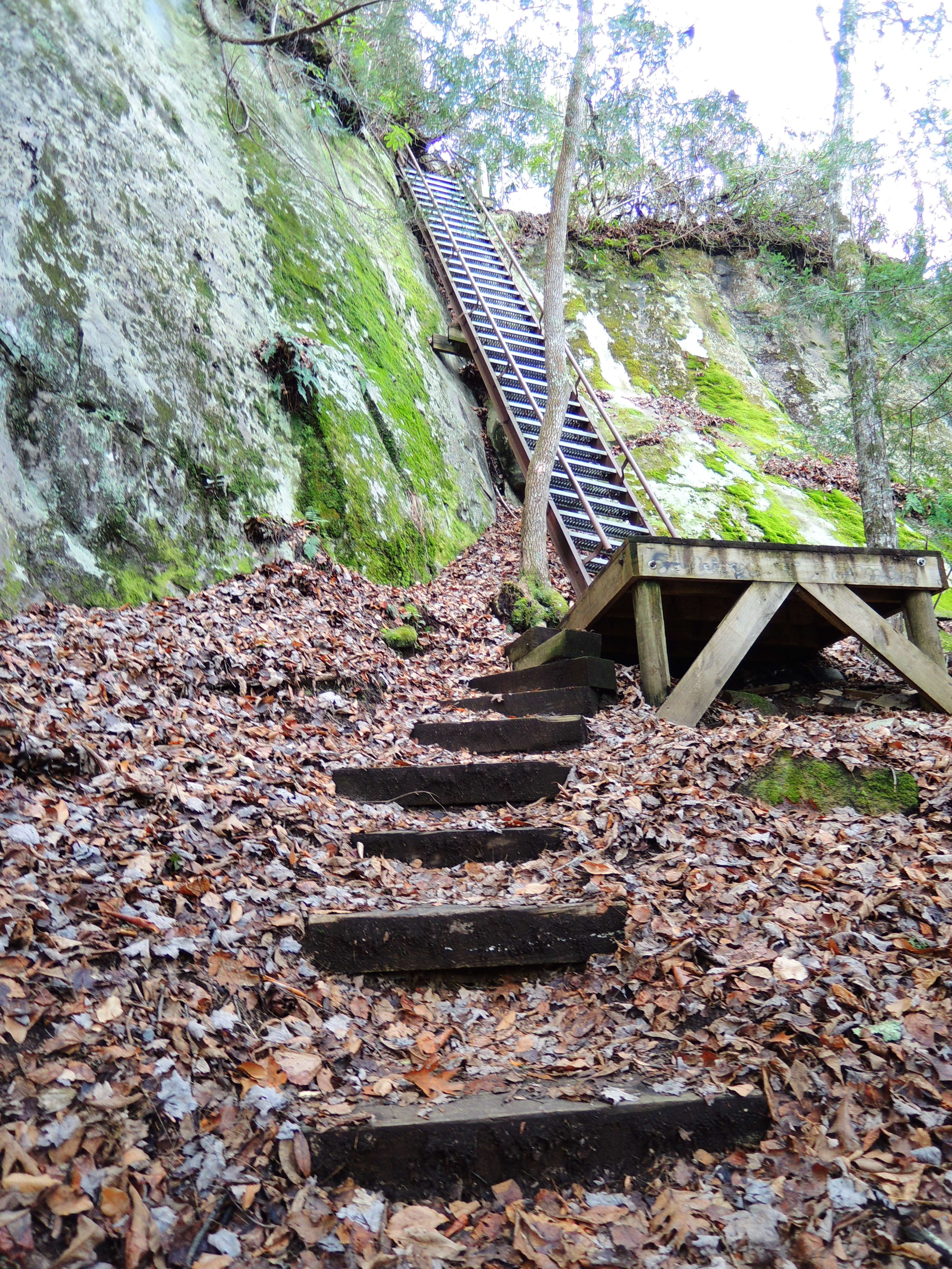 dscn4947.jpg