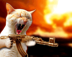 PO-d_kitty.gif
