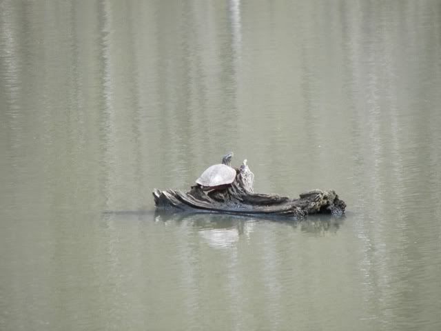 100_4718.jpg