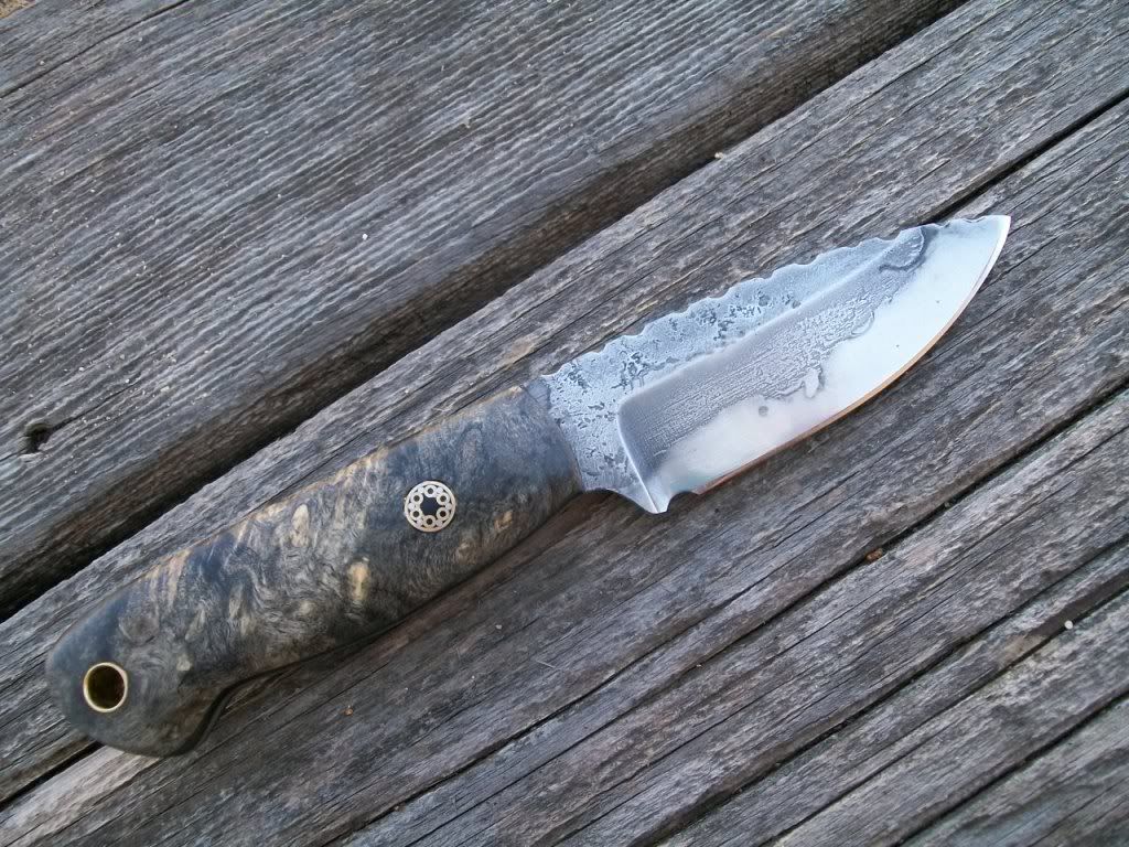 Smallbuckeye018.jpg