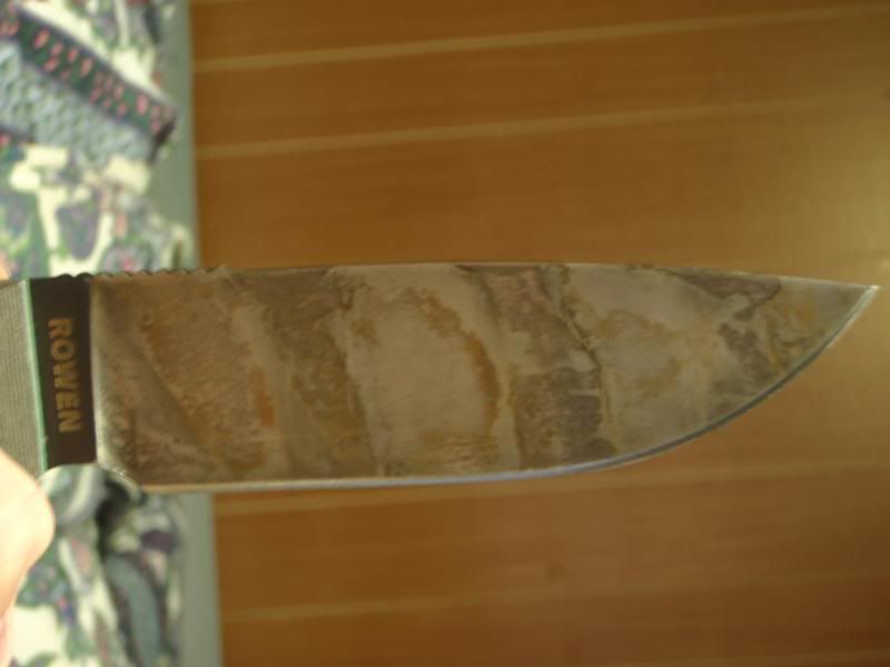 P7110207.jpg