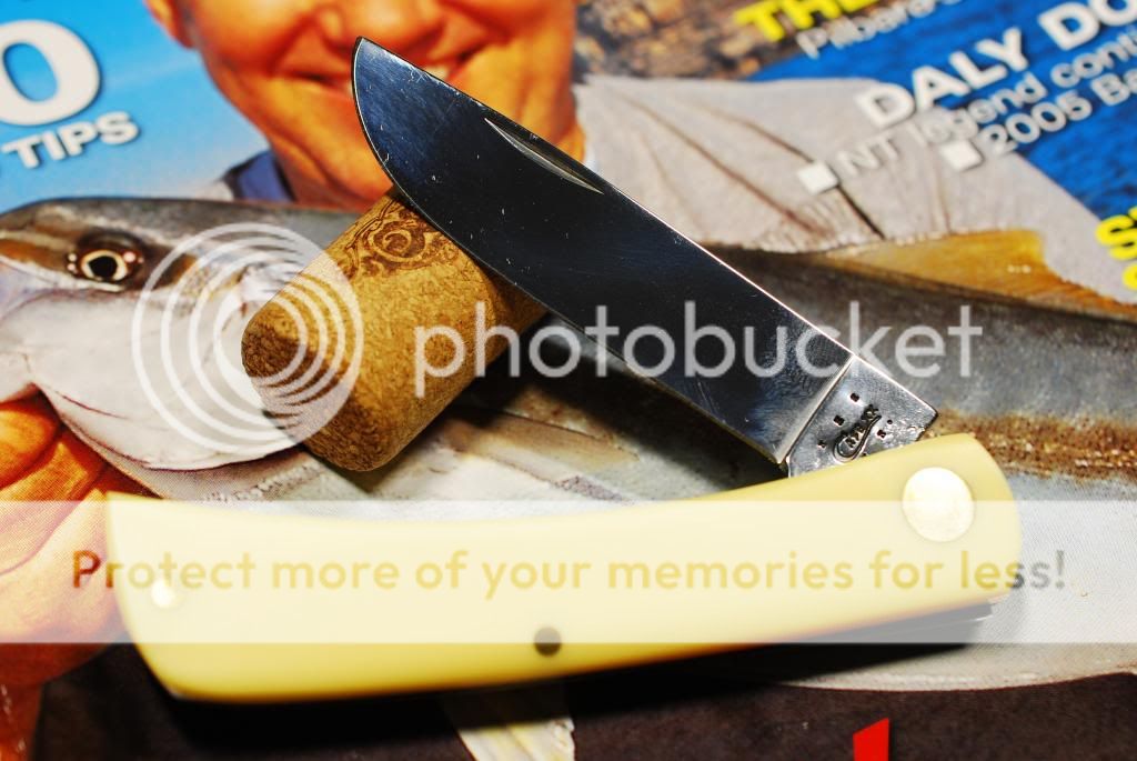DSC_0534_zps6a346655.jpg