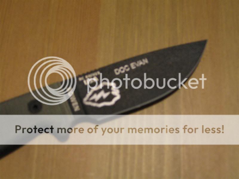 IMG_1751Medium.jpg