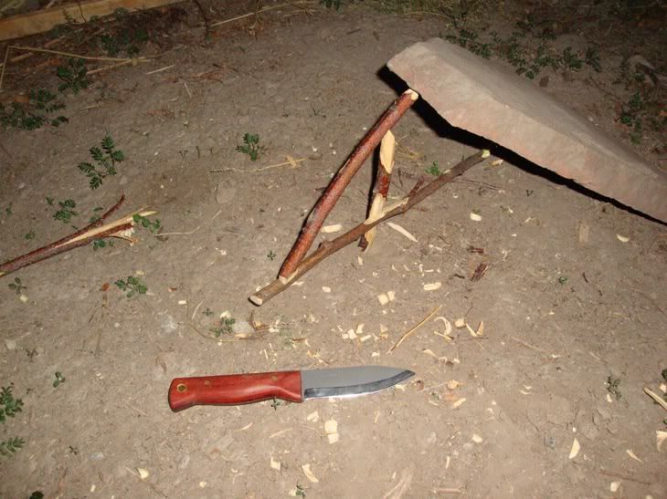 Bushloretrap.jpg