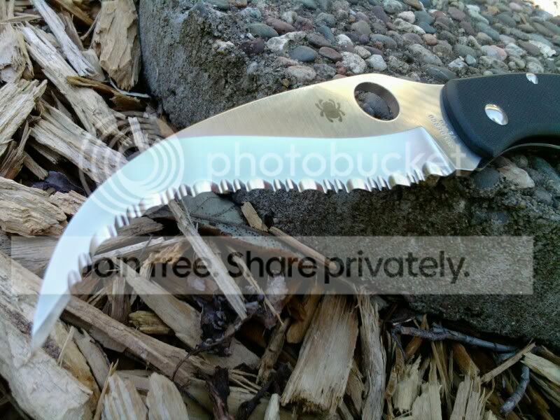 1304109909-picsay.jpg