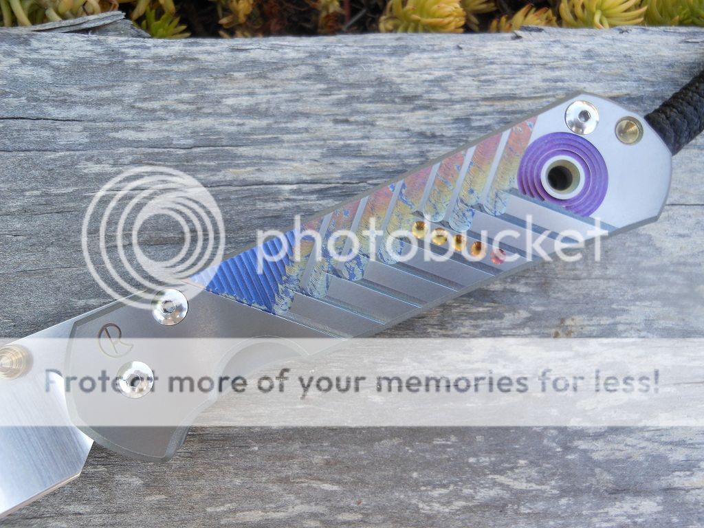 DSCN0927.jpg
