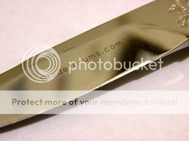 DSCN0020.jpg