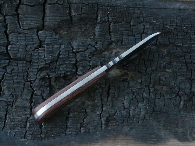 beaver1-3.jpg