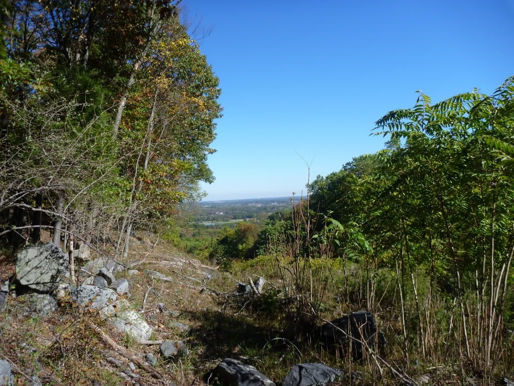 P1010589.jpg