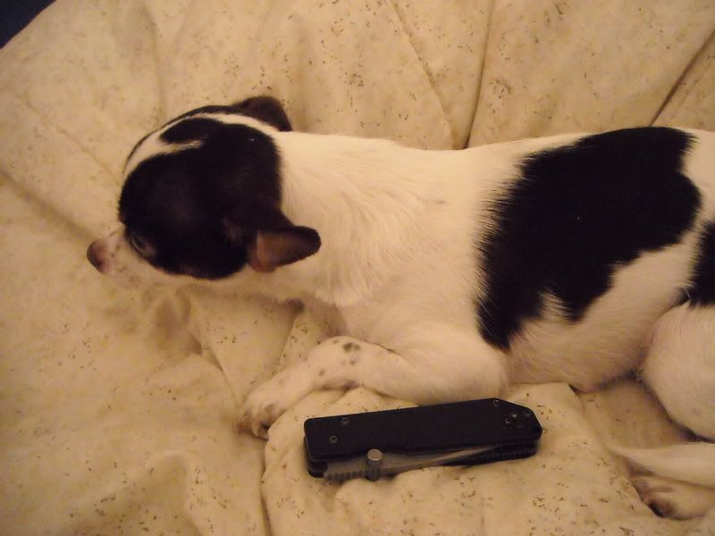 DSCN0063.jpg
