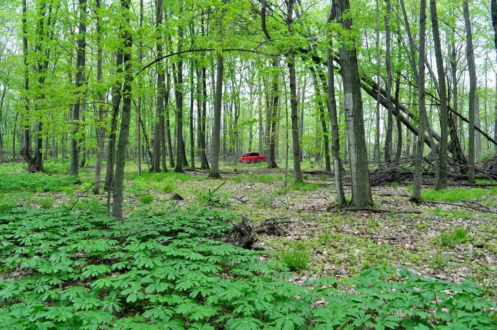 DSC_0370.jpg