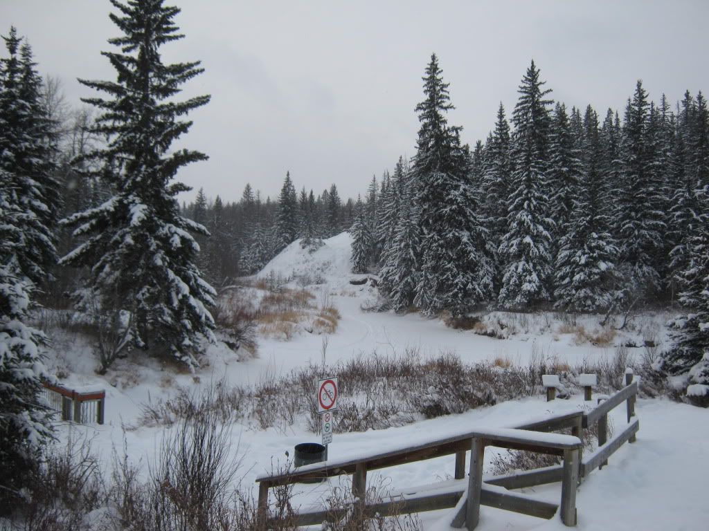 decemberbushcraft001.jpg