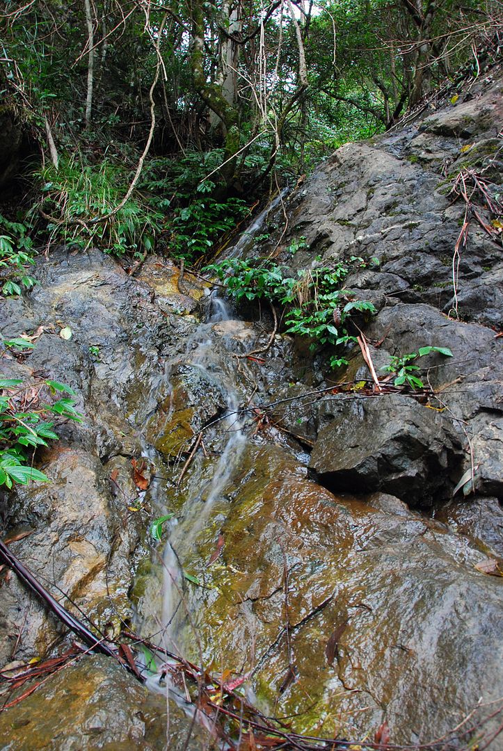 Waterfall2.jpg