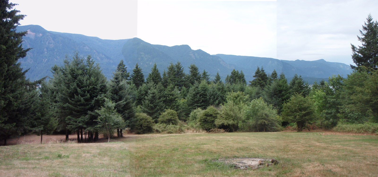 Meadow-7-08.jpg