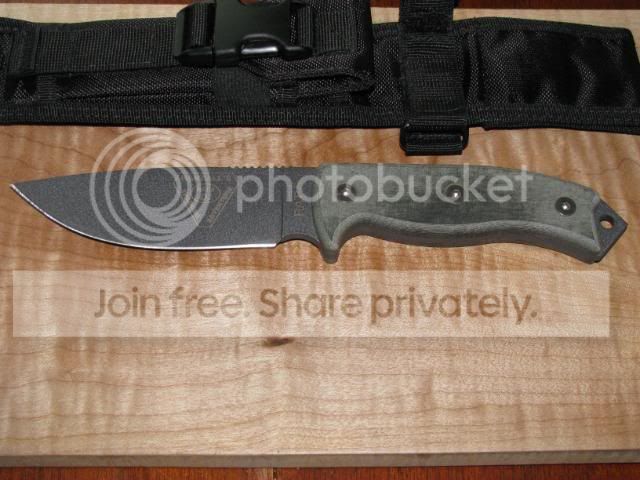 WTT025-1.jpg