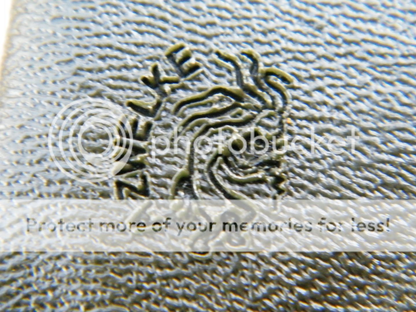 DSCF8278.jpg