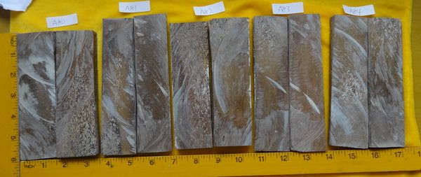DSC00195_zps44b8e870.jpg