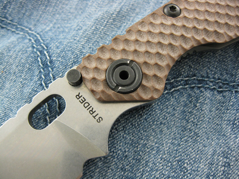 StriderBrnDGG_SnG_003.jpg