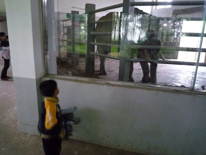P1060274.jpg